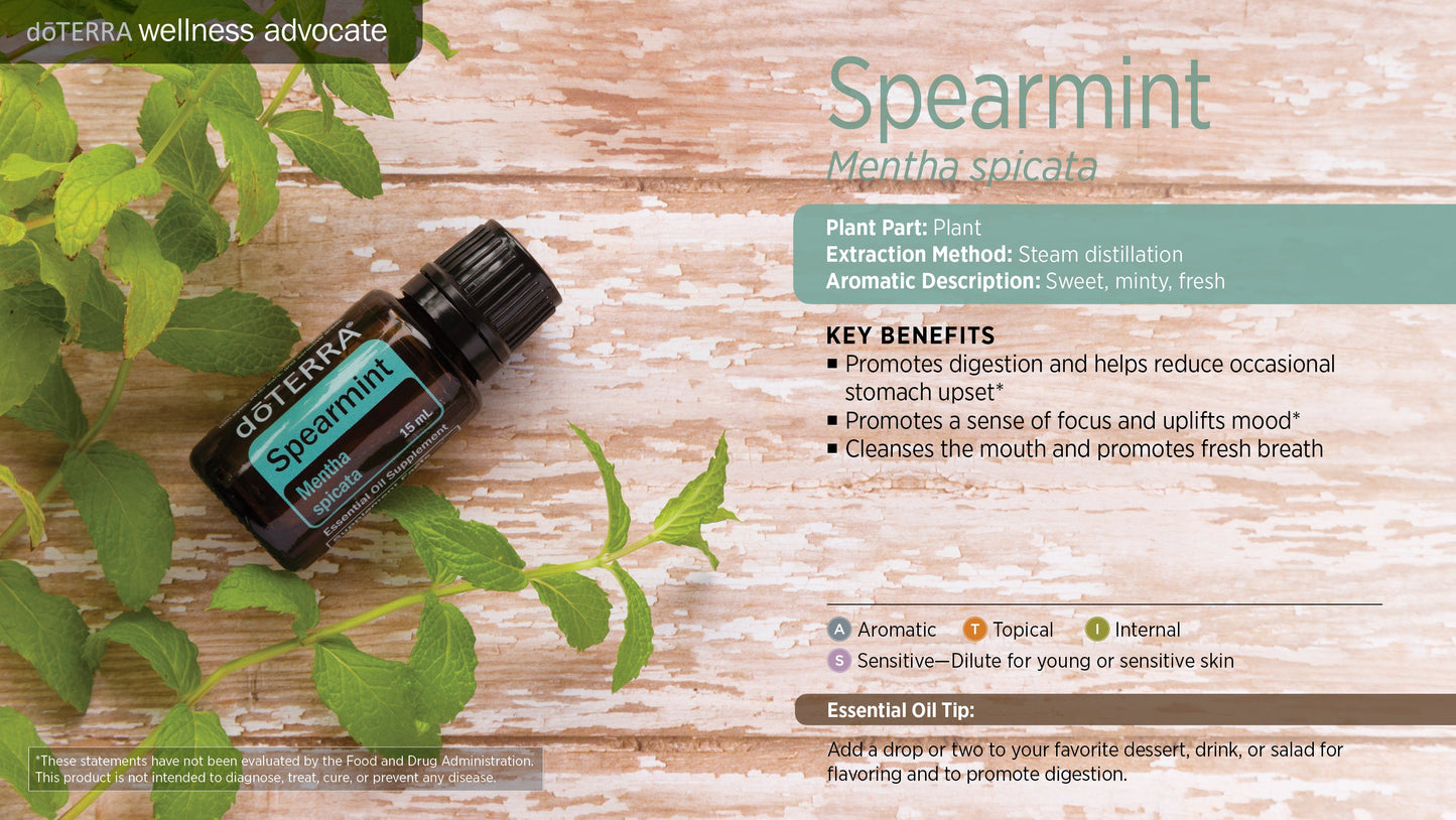 Spearmint - Mentha Spicata - Essential Oil