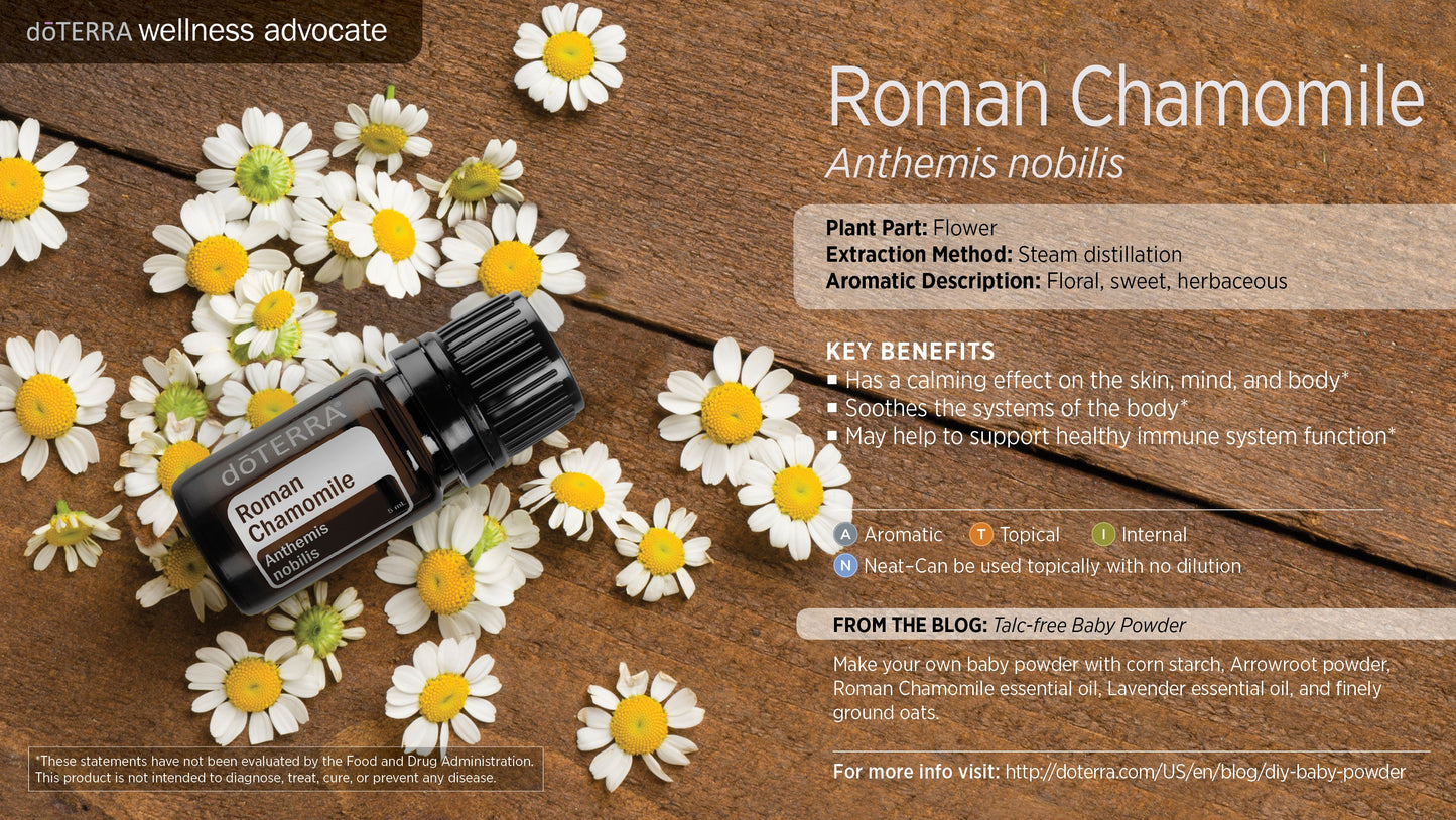 Roman Chamomile - Anthemis Nobilis - Essential Oil