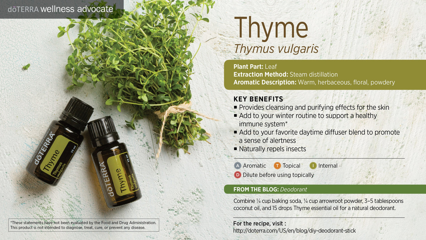 Thyme  - Essential Oil